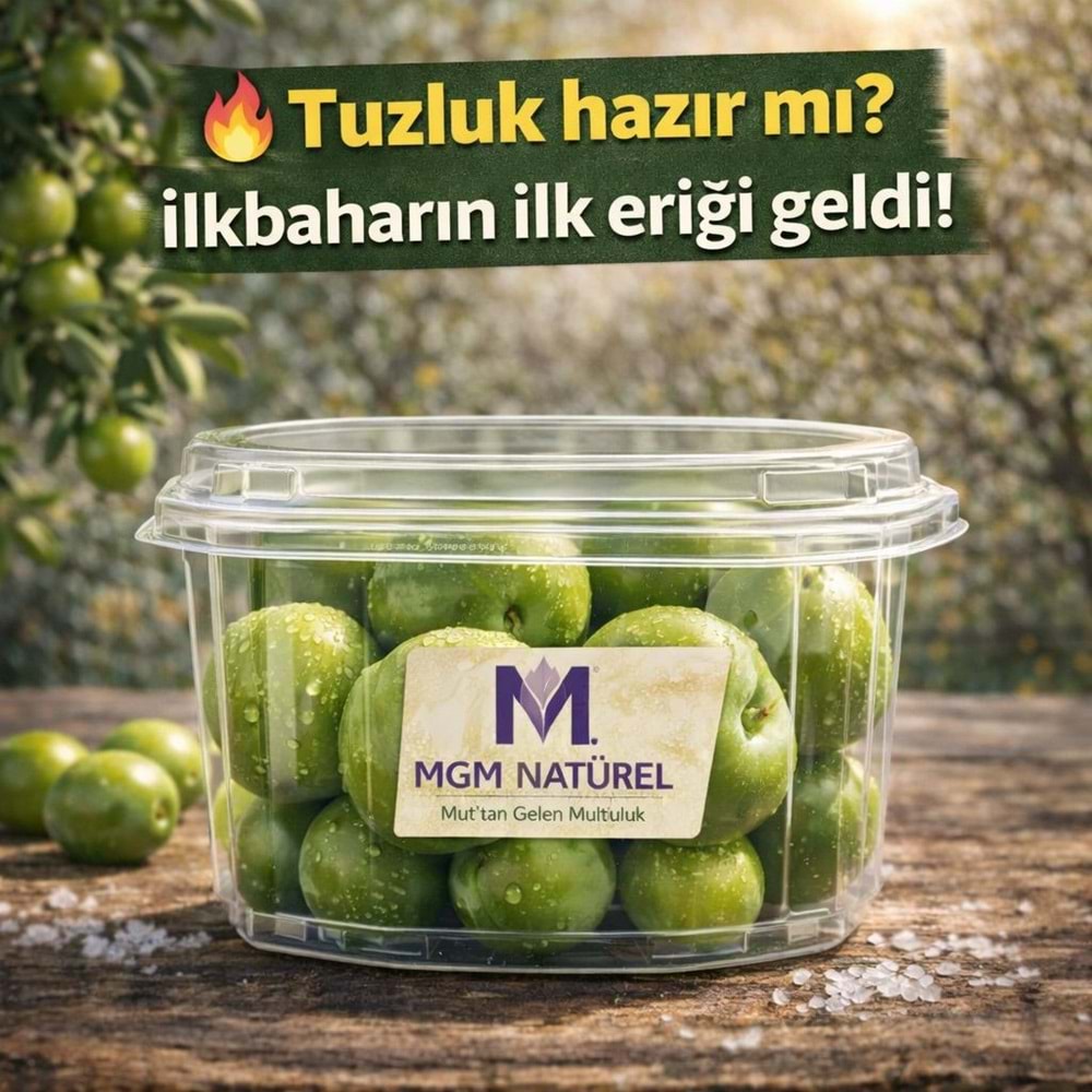 YEŞİL CAN ERİK 250 Gr