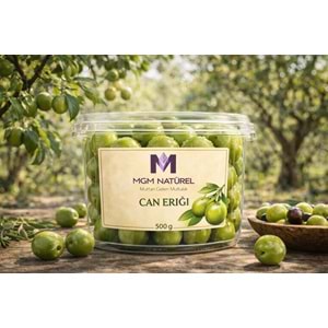 YEŞİL CAN ERİK 500 Gr