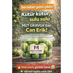 YEŞİL CAN ERİK 500 Gr