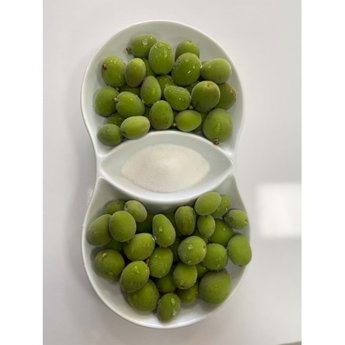 KAYISI ÇAĞLASI NİNFA CİNSİ KAYISI SOFRALIK ÇAĞLA