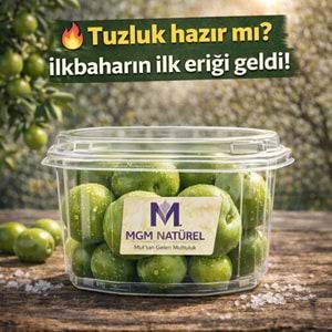 YEŞİL CAN ERİK 1 Kg