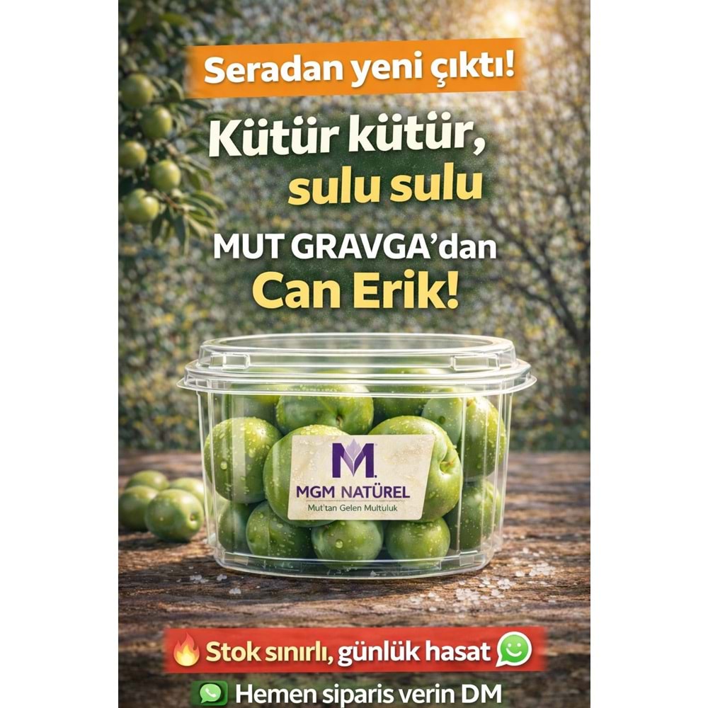 YEŞİL CAN ERİK 500 Gr